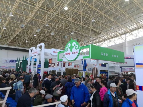 第十三屆中俄蒙經(jīng)貿(mào)洽談暨商品展銷會圓滿落幕，俄蒙展廳現(xiàn)場火爆彰顯區(qū)域合作新活力
