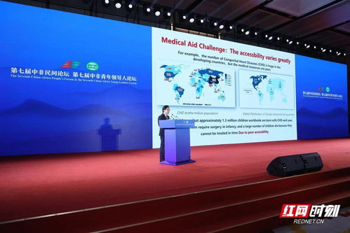 中國企業(yè)與非洲大陸這樣牽手——中非經(jīng)貿(mào)合作與企業(yè)社會責(zé)任平行論壇側(cè)記