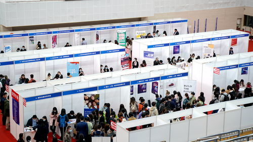 搭建橋梁，助力夢想 上外國際金融貿易學院2021年就業實習專場雙選會成功舉辦